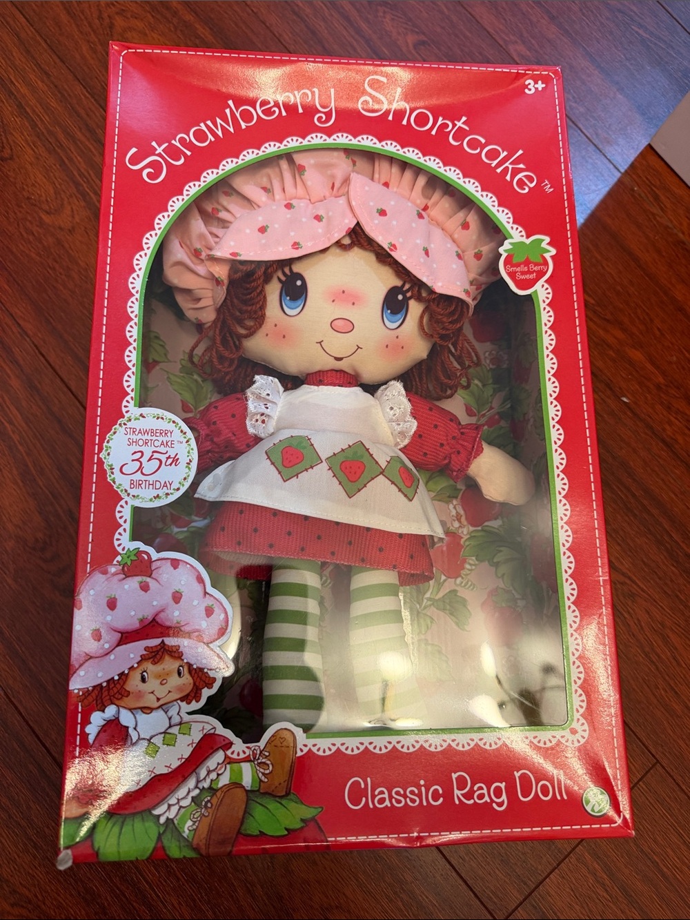 Strawberry Shortcake Classic Rag Doll - Pink, Red & Green